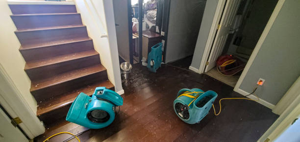 Best Water damage restoration cost  in Sand Hill, PA