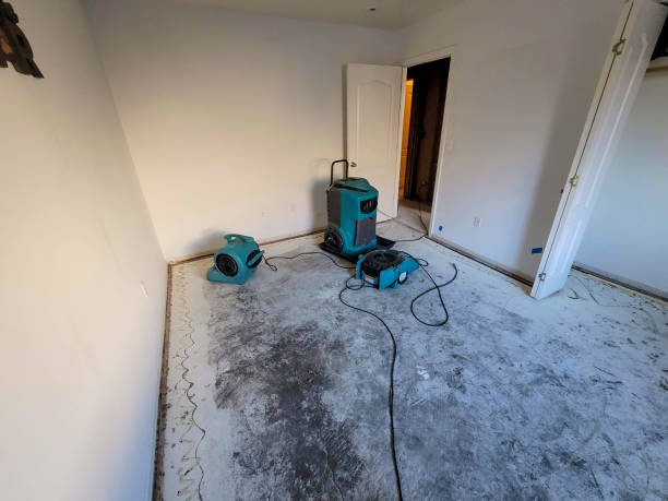 Best Carpet water damage restoration  in Sand Hill, PA