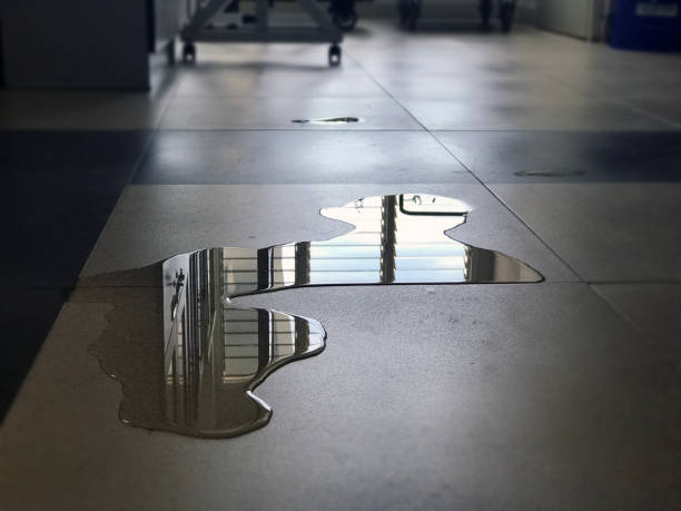 Best Water damage restoration near me  in Sand Hill, PA