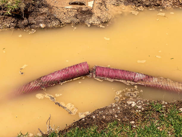 Best Water damage restoration near me  in Sand Hill, PA