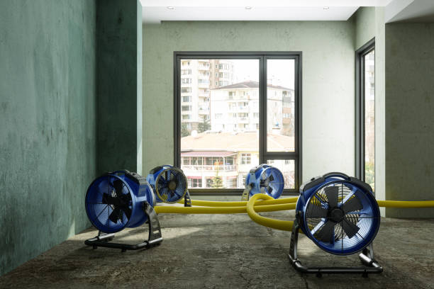 Best Water damage cleanup near me  in Sand Hill, PA